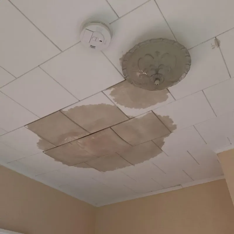 Ceiling Water Damage Repair in Humboldt, TN