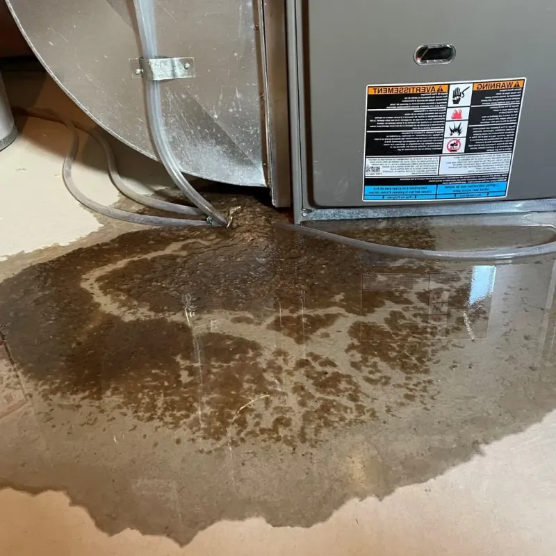 Pipe Burst and Leak Restoration in Humboldt, TN
