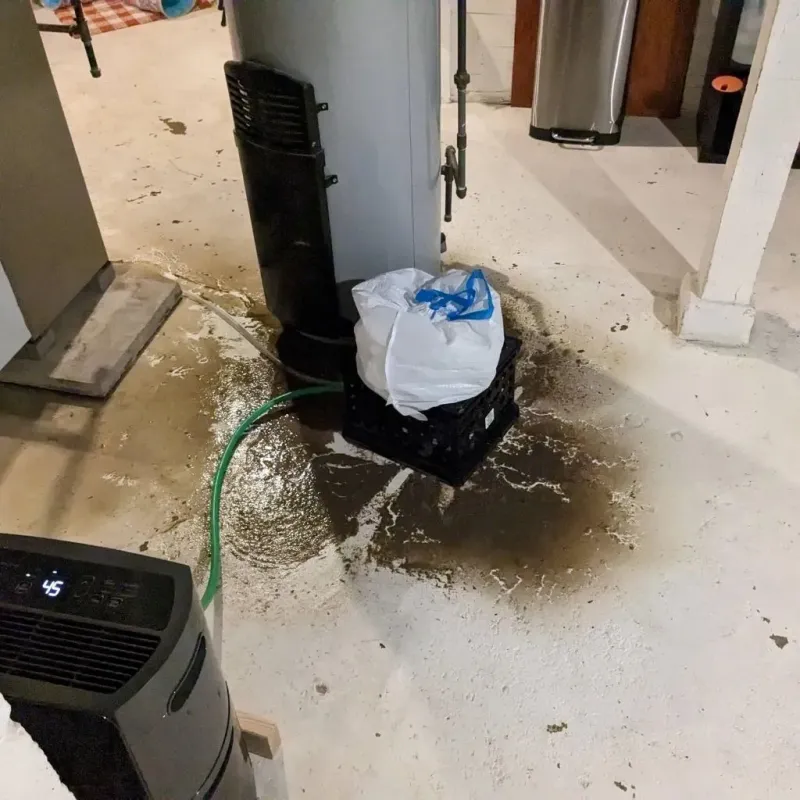 Sewage Backup Cleanup Service in Humboldt, TN